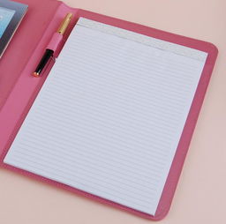 一“夹”兼得 多功能A4创意文具，职场女性的高效美学之选